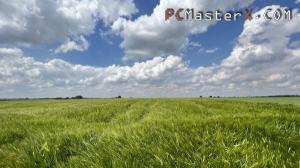 PCMasterX_Wheat_Field_600